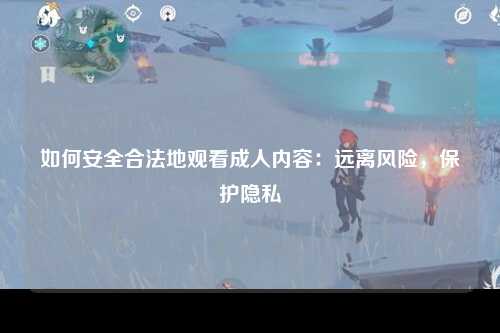 如何安全合法地观看成人内容：远离风险，保护隐私