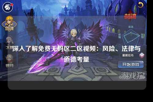 深入了解免费无码区二区视频：风险、法律与道德考量