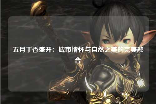 五月丁香盛开：城市情怀与自然之美的完美融合
