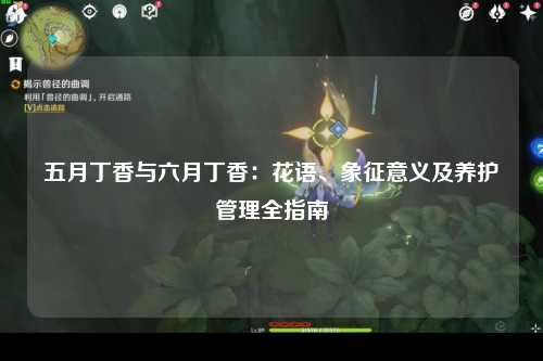 五月丁香与六月丁香：花语、象征意义及养护管理全指南