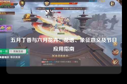 五月丁香与六月花卉：花语、象征意义及节日应用指南