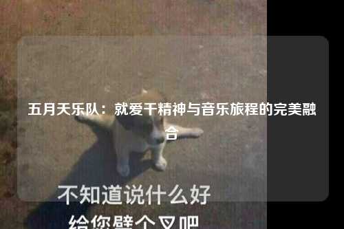 五月天乐队：就爱干精神与音乐旅程的完美融合